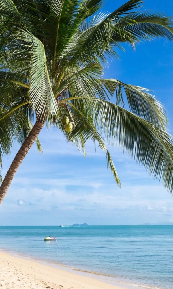 Plage de Maenam à Koh Samui, à 5 minutes en véhicule de la résidence Blue Cyan Cottage. Plage de Maenam à Koh Samui, à 5 minutes en véhicule de la résidence Blue Cyan Cottage.